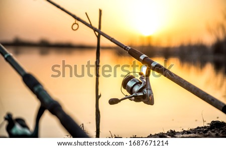 carp fishing rod isolated on lake. feeder fishing reel close up.