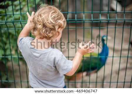 Similar – Foto Bild Kleinkind schaut Pfau an