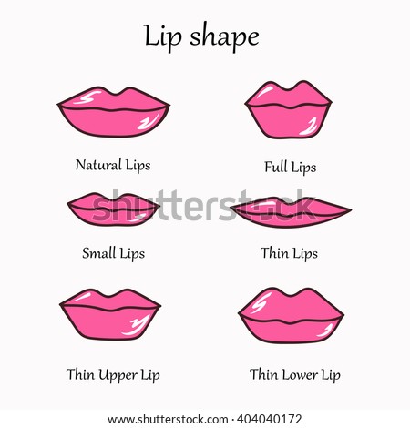 Different Types Of Lips. Vector Illustration. - 404040172 : Shutterstock