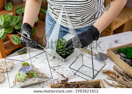 Similar – Image, Stock Photo Female designer creating floral bouquets in studio