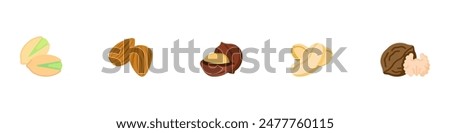 Nuts icon. Nuts icon set. Pistachio, Almond, Hazelnut, Cashew, Walnut. Vector Illustration. Vector Graphic. EPS 10