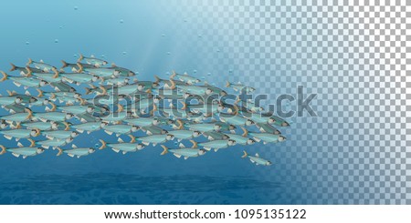 Vector Illustration of the sea landscape, school of fish. Plenty of herring or cod moving in the sea. Cartoon underwater world with fish. For header, web, print, card and invitation.