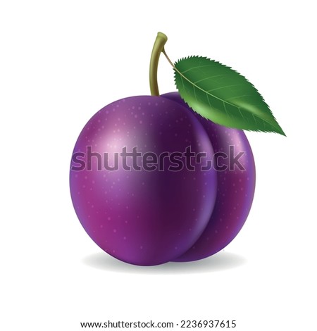 Realistic plum. Ripe plums fruit with leaf 3d vector illustration isolated dessert meal on white