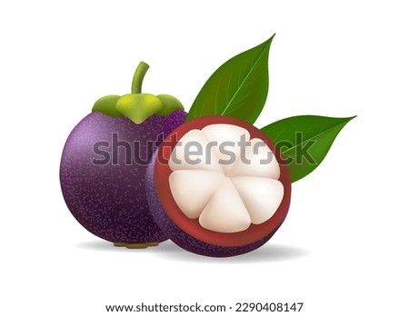 Realistic mangosteen. Garcinia mangostana purple fruits isolated on transparent background, 3d closeup edible fruit whole and half with leaf