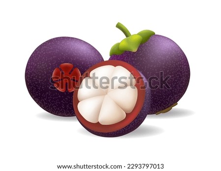 Mangosteen realistic illustration. Fresh ripe tropical exotic mangosteens fruits batch 3d vector isolated on white background