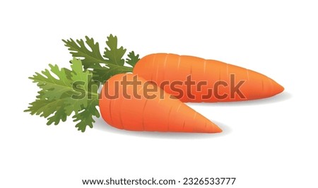 Photo realistic 3d carrot. Fresh carrot vegetable with leaves, cooking and salad tasty diet organic product isolated vector illustration
