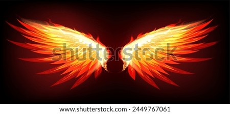 Fire glow wings. Wings in flame, flamed phoenix feathers isolated on black vector illustration