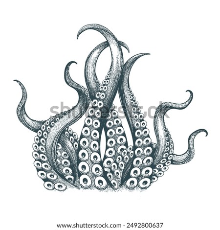 Hand drawn engraving octopus tentacles. Fantasy marine kraken underwater monsters tentacle engraving drawing isolated vector illustration