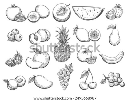 Hand drawn fruit sketch. Strawberry banana pineapple raspberry melon peach mango grapes apricot apple set isolated vector illustration