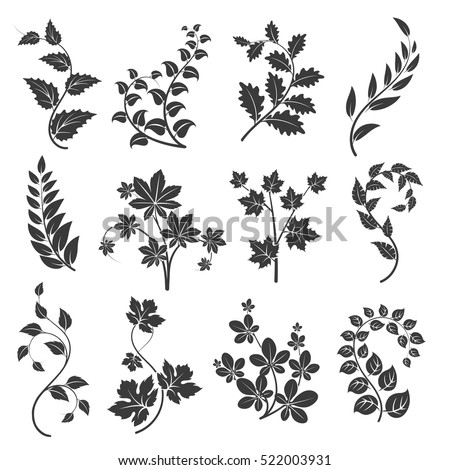 Curly branches silhouettes with leaves isolated on white background. Vector illustration