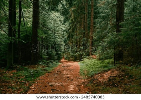 Similar – Image, Stock Photo Nature trail in a wetland area