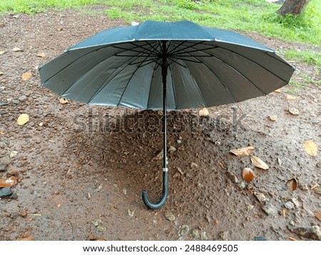 Image, Stock Photo Wet chaos Mysterious Grass