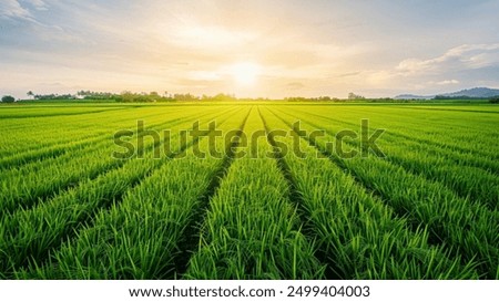 Similar – Image, Stock Photo Beautiful sunset on the lake with distant silhouette of mountains and sun setting above water. Orange and red color sunset in the natural park horizontal banner.