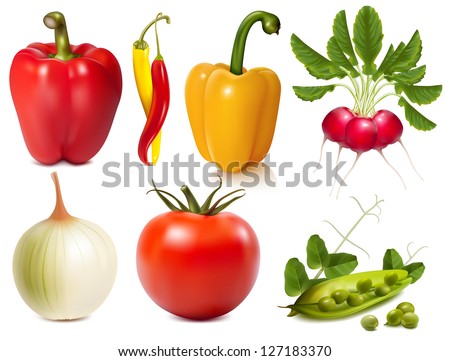 Collection of photo-realistic vector vegetables