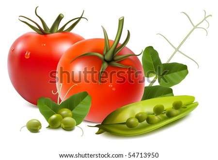 Photo-realistic vector illustration. Tomato with ripe peas.