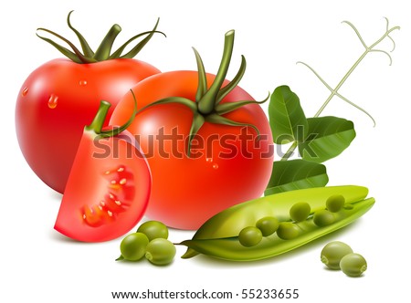 Photo-realistic vector illustration. Tomato with ripe peas.