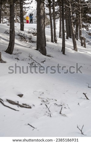 Similar – Image, Stock Photo Snowy Pyrenees and lonely house with shiny lights under sky