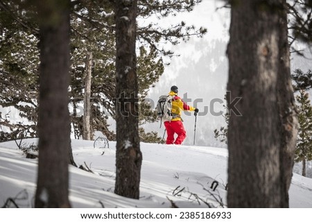 Similar – Image, Stock Photo Snowy Pyrenees and lonely house with shiny lights under sky