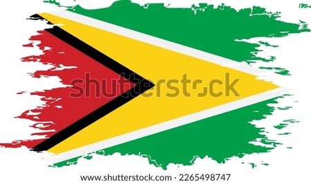 Guyana flag grunge brush color image, vector