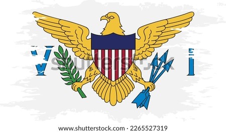 United States Virgin Islands flag grunge brush color image, vector