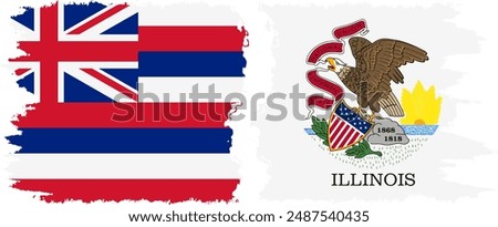 Illinois and Hawaii states grunge brush flags connection, vector