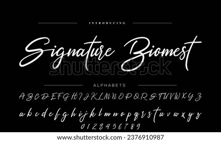 signature Font Calligraphy Logotype Script Brush Font Type Font lettering handwritten