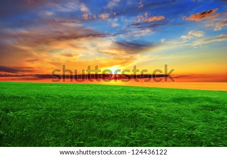 Dramatic sunset over the green field.  Summer landscape.