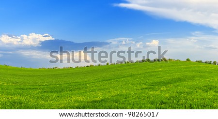 Spring sunny day on a green meadow.  Spring landscape