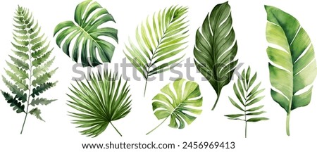 Similar – Image, Stock Photo green plant leaves in the nature in spring season