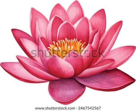 Pink lotus flower, watercolor vector illustration, hand drawing