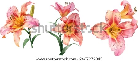 Similar – Image, Stock Photo bright yellow lily blossom