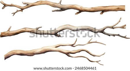 Watercolor dry tree branches set closeup isolated on white background. Hand painting on paper	