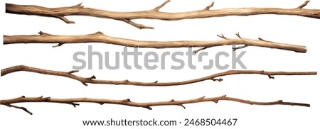 Watercolor dry tree branches set closeup isolated on white background. Hand painting on paper	