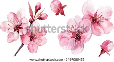 Similar – Image, Stock Photo Branches with spring flowers in the rain at the lake with rain tropics