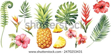 Tropical Set. Exotic flower hibiscus, orchid, monstera palm leaf and pineapple, ripe fruit. Jungle watercolor painting.