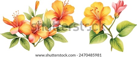 	
Bright tropical flowers isolated on white background. Botanical painting, watercolor illustrations yellow flowers branch