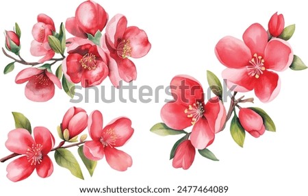 Image, Stock Photo red flower Flower leaves