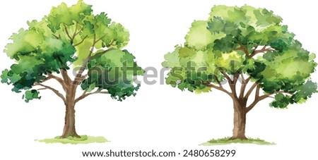 Vector hand drawn tree watercolor illustration on white background.