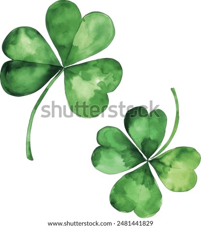 Four-leaf clover. Watercolor illustration on white