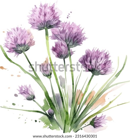 Chives watercolor illustration. Hand drawn underwater element design. Artistic vector marine design element. Illustration for greeting cards, printing and other design projects.