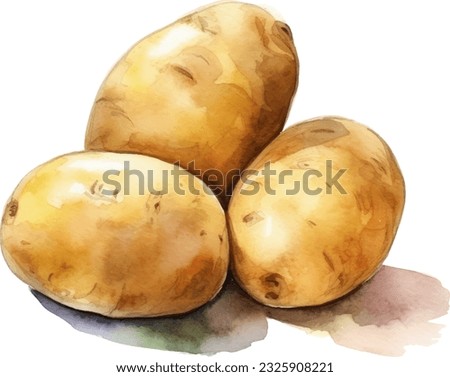 Potato Watercolor illustration. Hand drawn underwater element design. Artistic vector marine design element. Illustration for greeting cards, printing and other design projects.