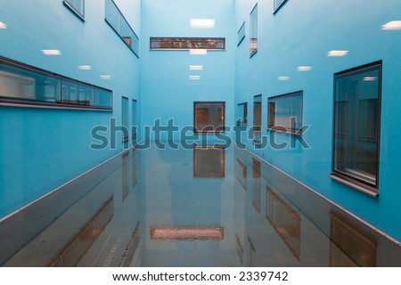 Animal hospital in Switzerland uses colored rooms between operating rooms to sooth animals in surgery.
