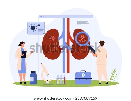 Pyelonephritis, kidney infection diagnosis and treatment, nephrology vector illustration. Cartoon tiny people check urinary system health with magnifying glass, research chronic disease and bacteria