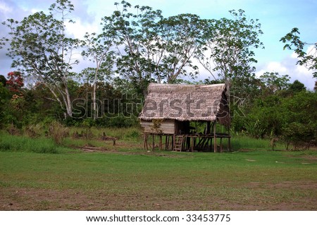 Amazon jungle single hut