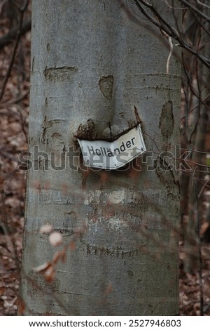 Similar – Image, Stock Photo Ingrown bark Wood