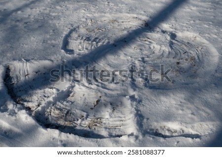Similar – Image, Stock Photo Shadow play with angel & leaves
