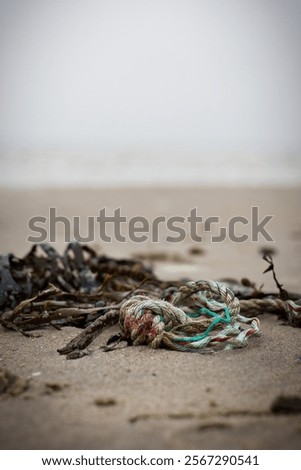 Similar – Image, Stock Photo flotsam Environment Water