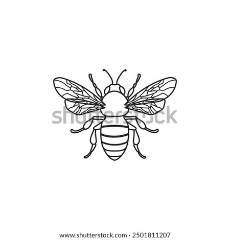 Bee Vector, HoneyBee Vector, Bee Image, HoneyBee Drawing