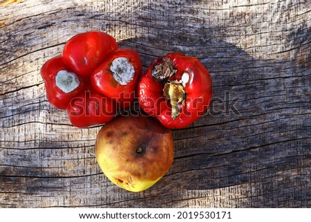 Old moldy peppers and a rotting apple Photo stock © 