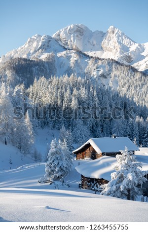 Similar – Image, Stock Photo Snowy mountain hut in the mountains